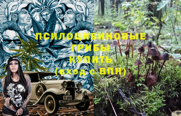 стаф Алексеевка