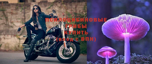 стаф Алексеевка